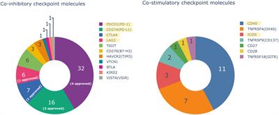 Mechanisms of action of monoclonal antibodies in oncology integrated in IMGT/mAb-DB
